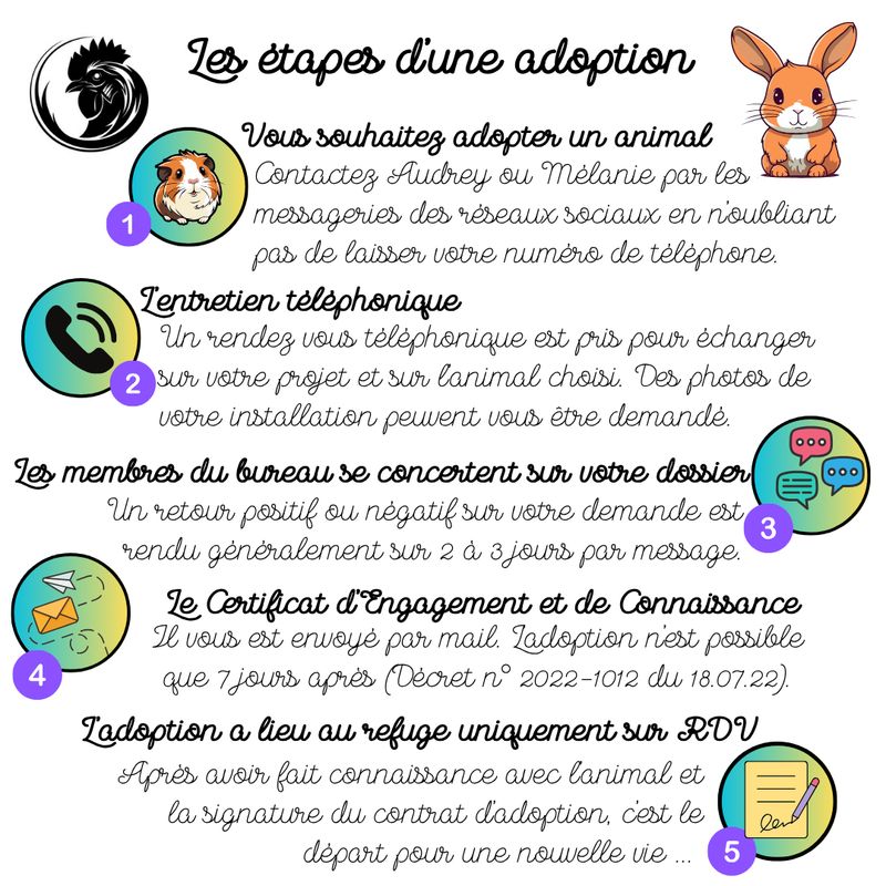 Photo 3 de LMFB Association